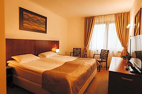 Double Room with Spa Access