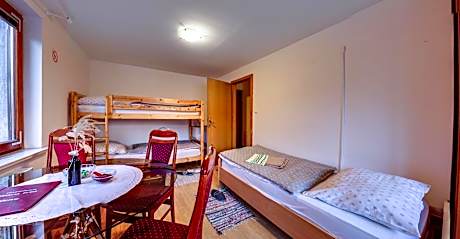 Bunk Bed in Mixed Dormitory Room