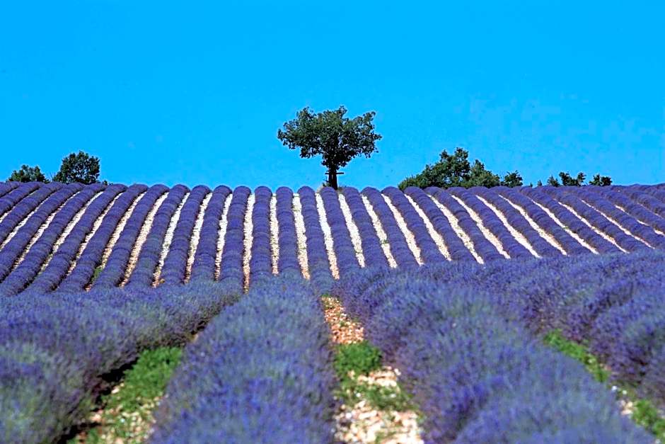 Clos des Lavandes - Chambres et Suites de charme climatisées-Luberon