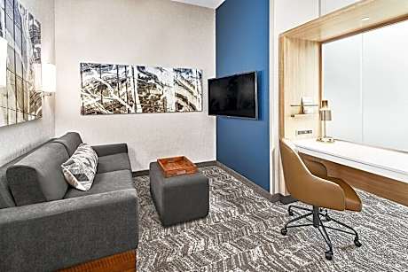 Suite, 1 King Bed with Sofa bed (1 King Bed and 1 Double Sofa Bed)
