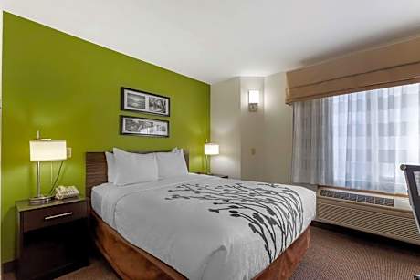 Queen Room with Roll-in-Shower - Accessible/Non-Smoking