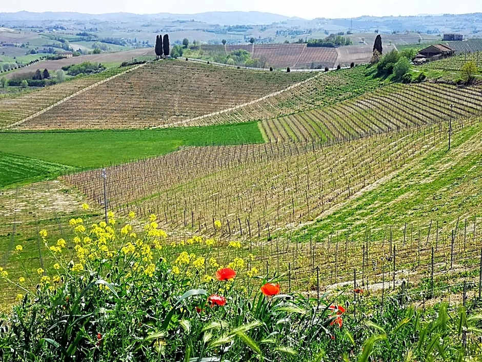 La Maggiorina