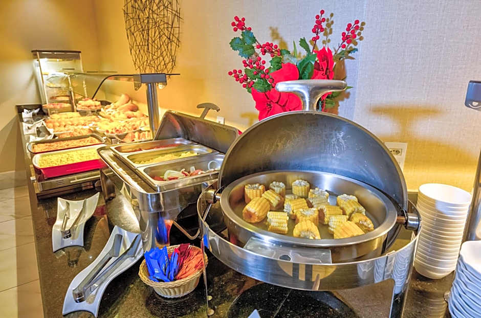 Holiday Inn Goiania By IHG
