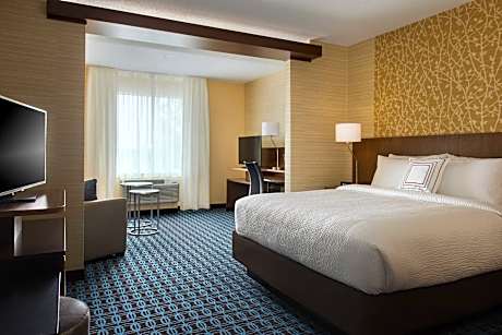Suite, 1 King Bed with Sofa bed (1 King Bed and 1 Double Sofa Bed)