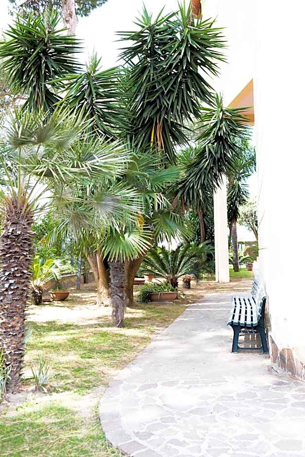 Hotel Agora Sure Hotel Collection by Best Western