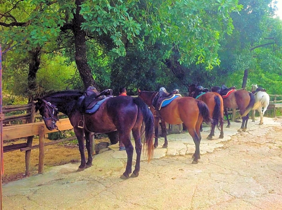 La dimora degli Etruschi