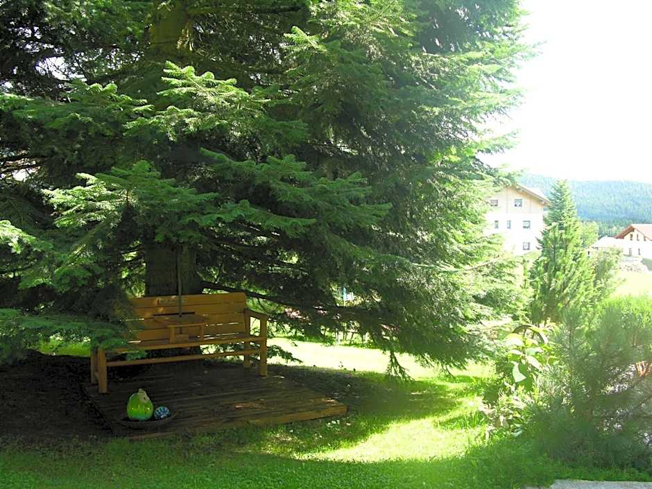 GarniHotel - Arberblick