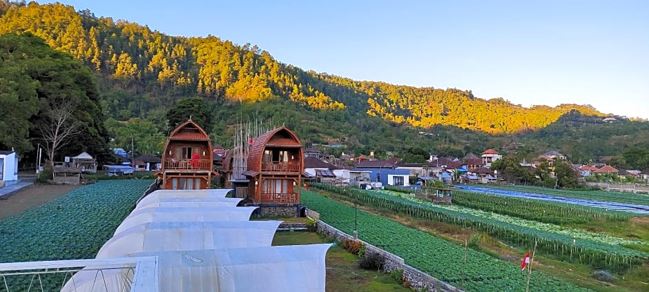 Villa Kedisan Lake View Kintamani