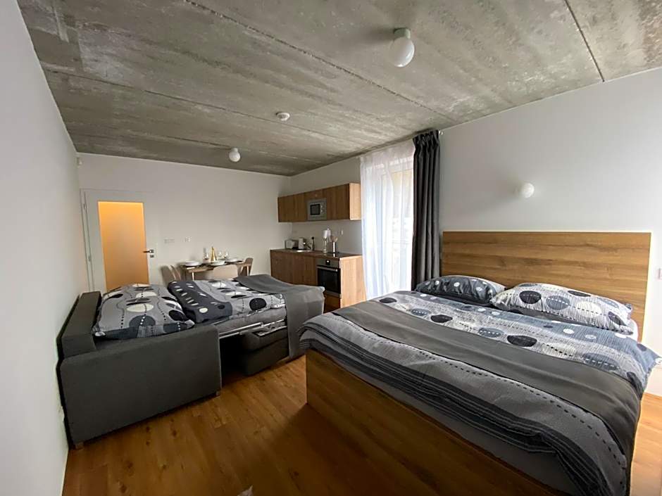 Apartmán pod sjezdovkou