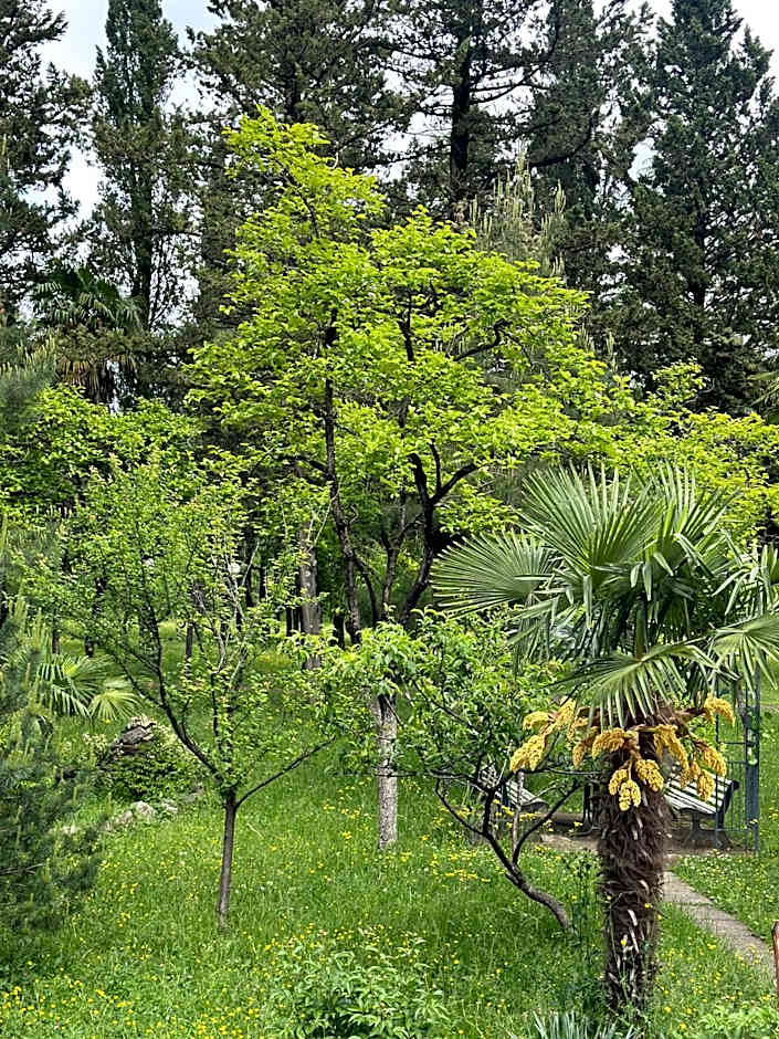 Park Hotel Imeri kutaisi