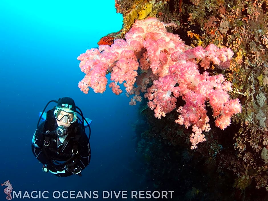 Magic Oceans Dive Resort