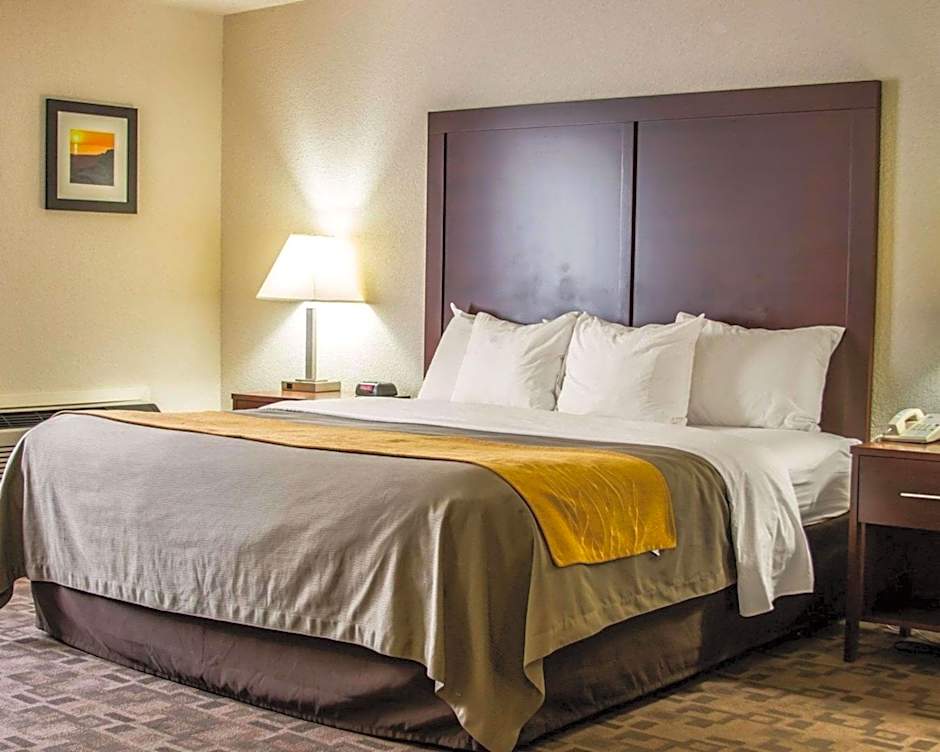 Comfort Inn Birch Run - Frankenmuth