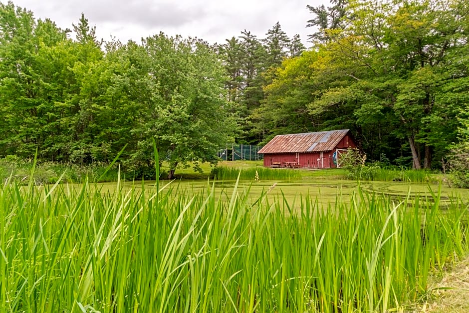 Cranmore Mountain Lodge Bed & Breakfast