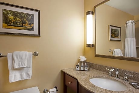 1Qn Mobility/Hearing Access Ri Shwr