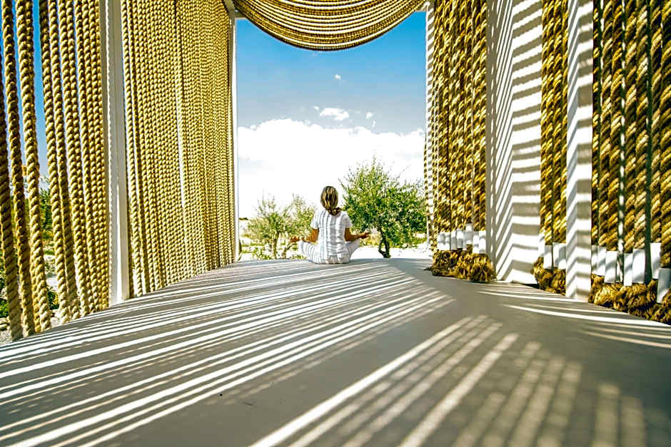 Aelia Wellness Retreat