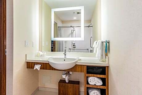 Studio, 1 King Bed with Sofa bed (1 King Bed and 1 Double Sofa Bed)