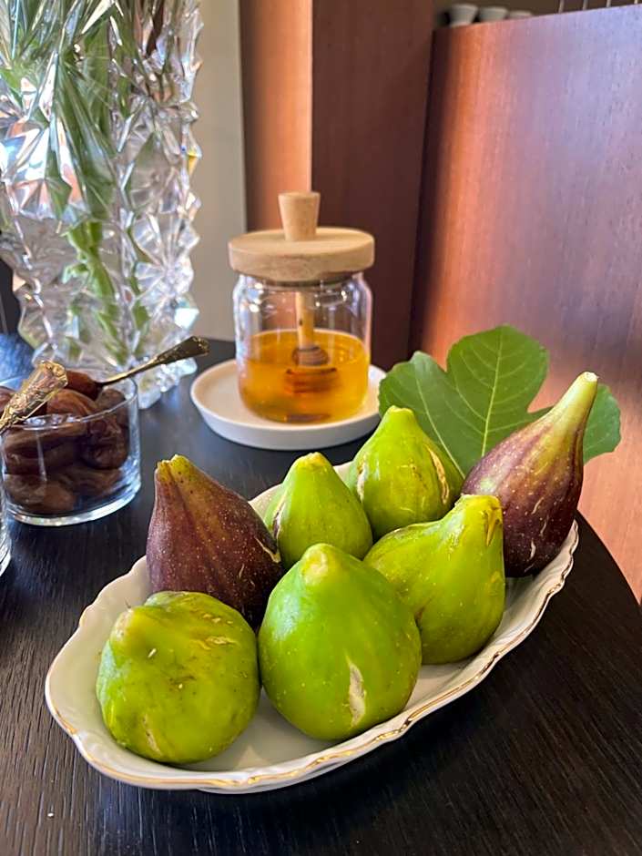 Hôtel & Spa Rocabella