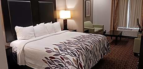 Suite King Room Disability Access/Roll-In Shower Non-Smoking