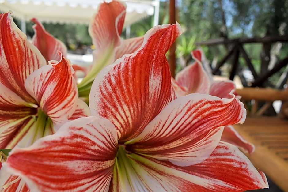 Village Valle D'Oro ApartHotel