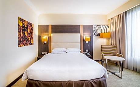 Deluxe Room (1 Queen Bed)