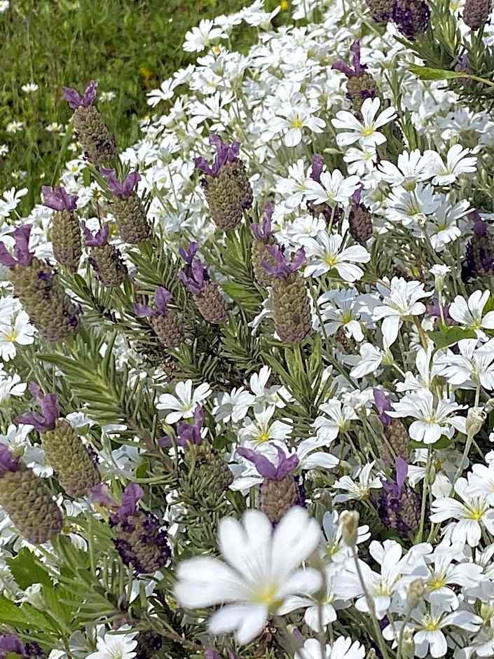 Résidence Villa Bellagio Amboise by Popinns