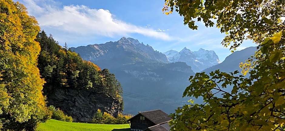 Parkhotel Du Sauvage