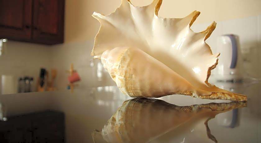 Surfers Beach Self Catering Chalets