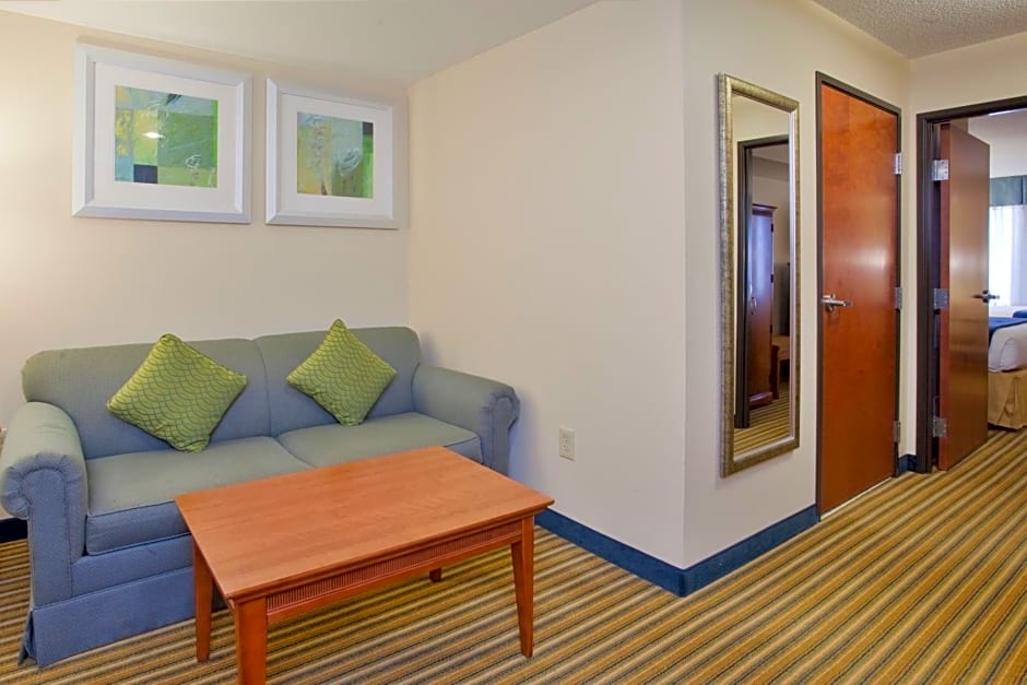 Holiday Inn Express Hotel & Suites Fredericksburg