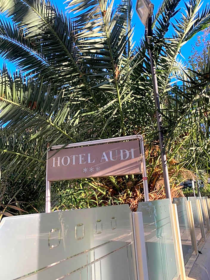 Hotel Audi Frontemare