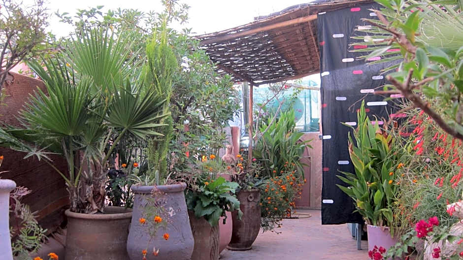 Riad Maizie