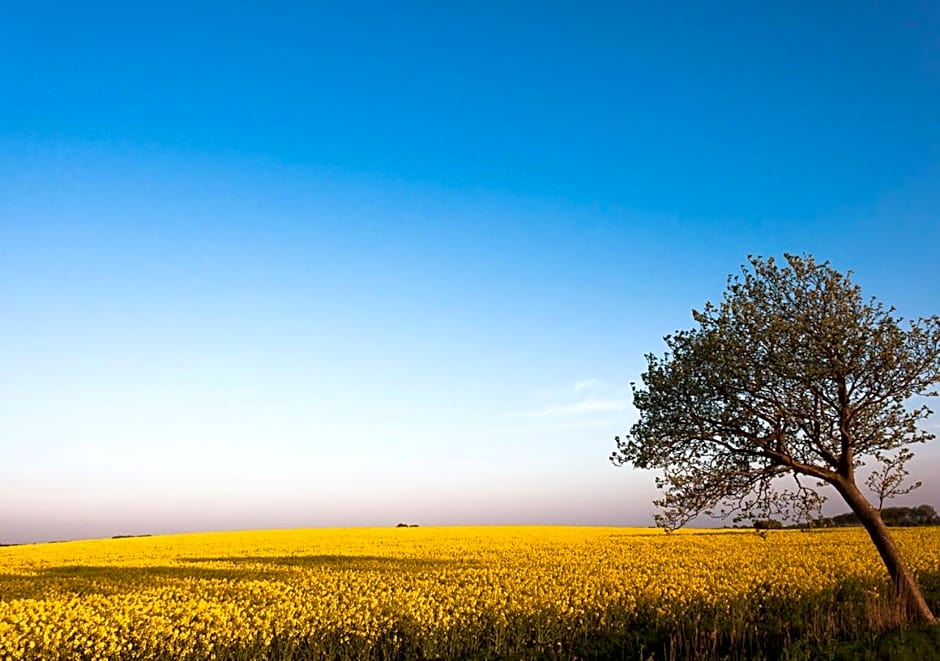 Lindenhof Hotel Garni