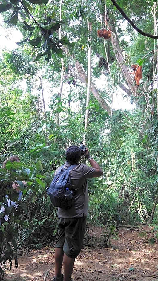 Gino's Place - Guest House & Jungle Trekking