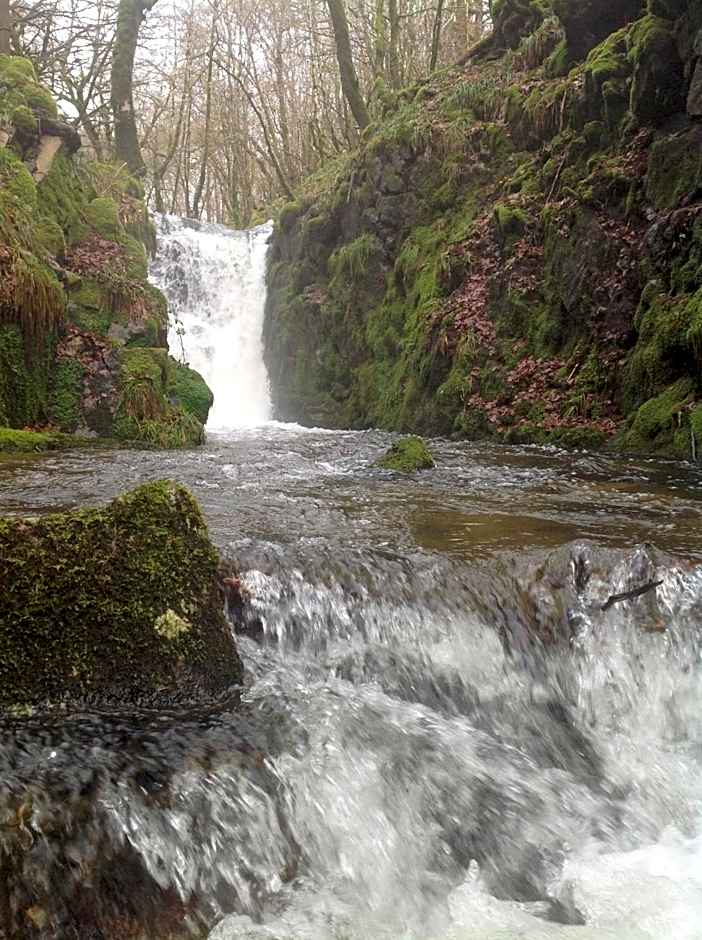 Logis Hotel Restaurant des Voyageurs