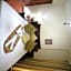 Green Furnished Apartments