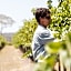 Petersons Armidale Winery and Guesthouse