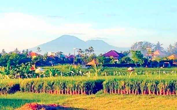 The Hideaway Canggu