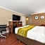 Comfort Inn Oceanside Deerfield Beach