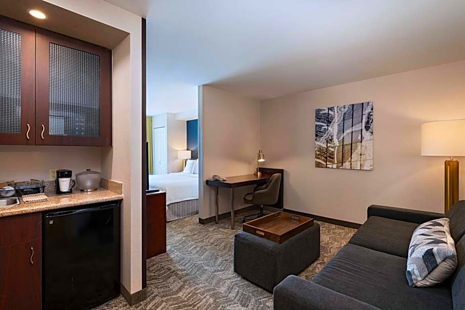 SpringHill Suites by Marriott Boise West/Eagle