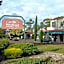 Bandicoot Motor Inn Hamilton