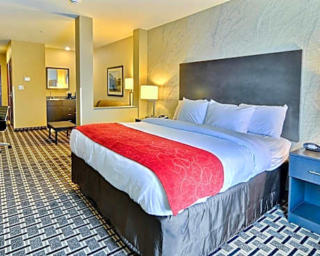 Suite King with Sofa Bed and Bath Tub