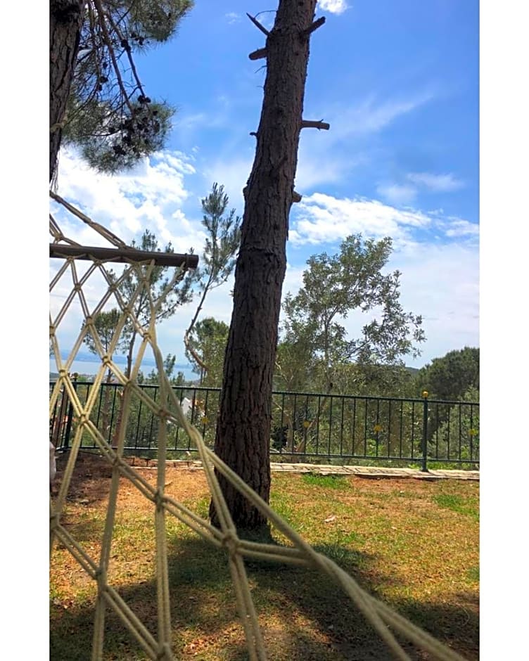 Sarı Konak Butik Otel