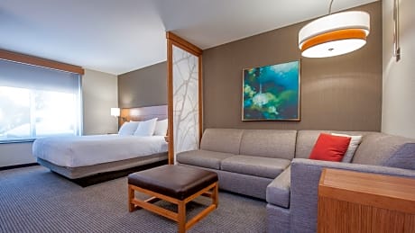 King Bed (with sofa bed)