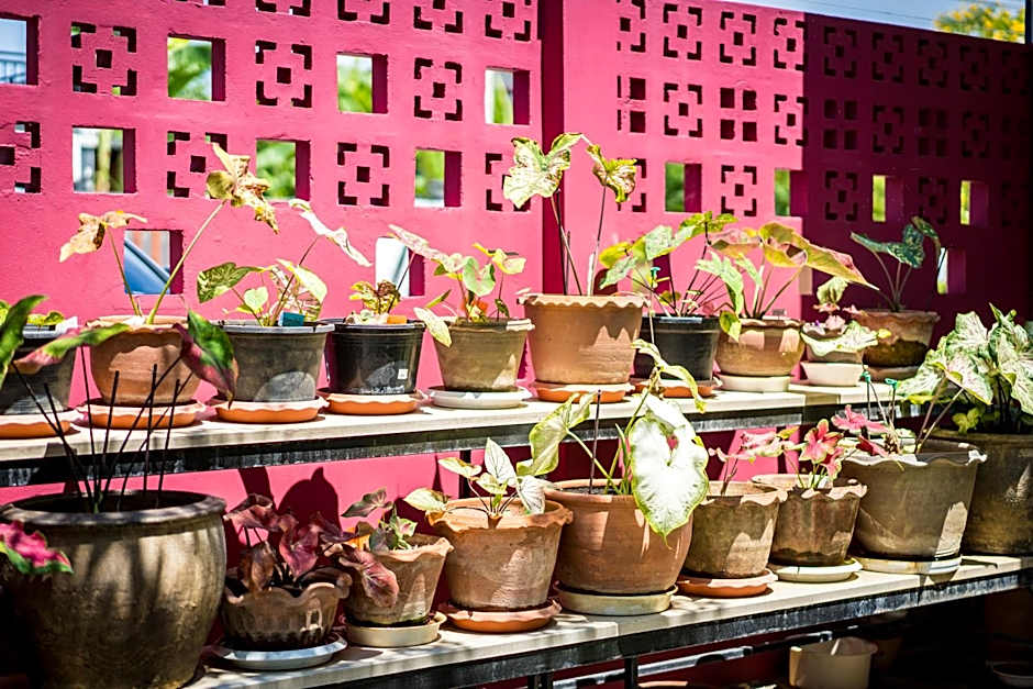 บ้านสุขซอย5