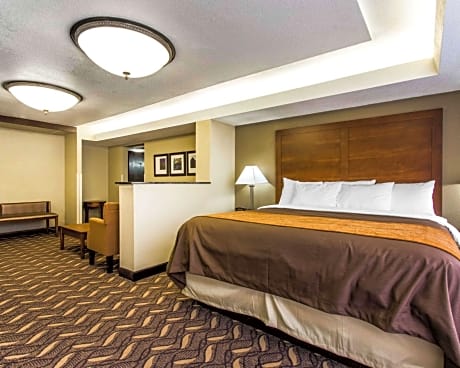 1 King Bed  Studio Suite  Non-Smoking