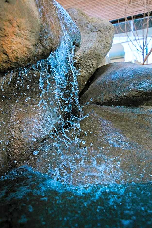 H2otel Congress & Medical SPA