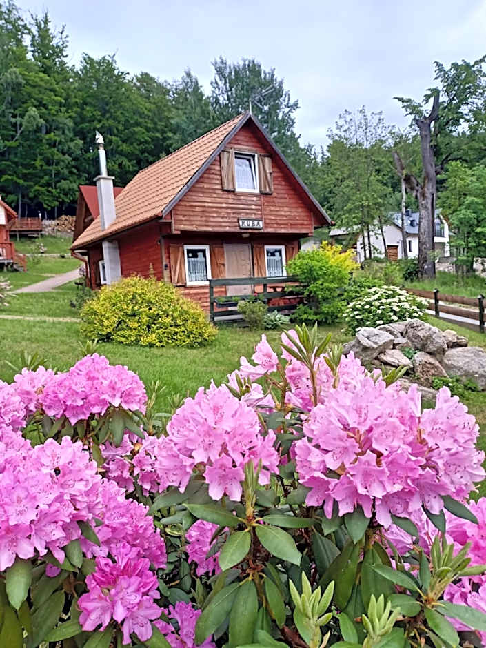 Grzywaczówka