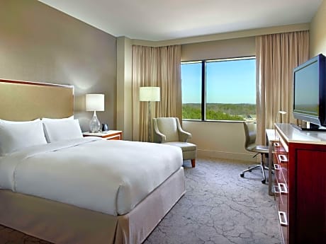 1 King 1 Bedroom Suite-Corner Parlor-690 Sqft