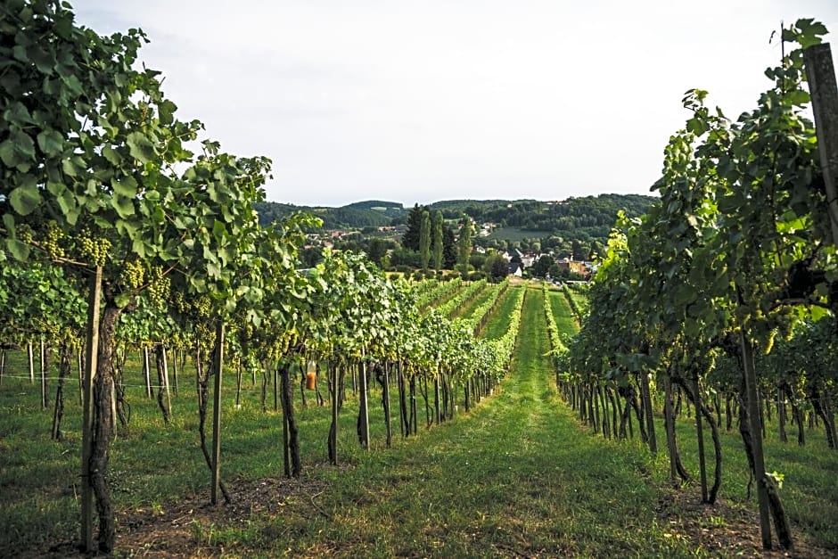 Wein & Gästehof Erlacher
