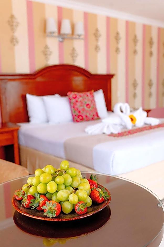 Hotel Plaza Colonial