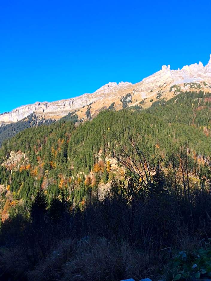 "Terrasse" Nessental